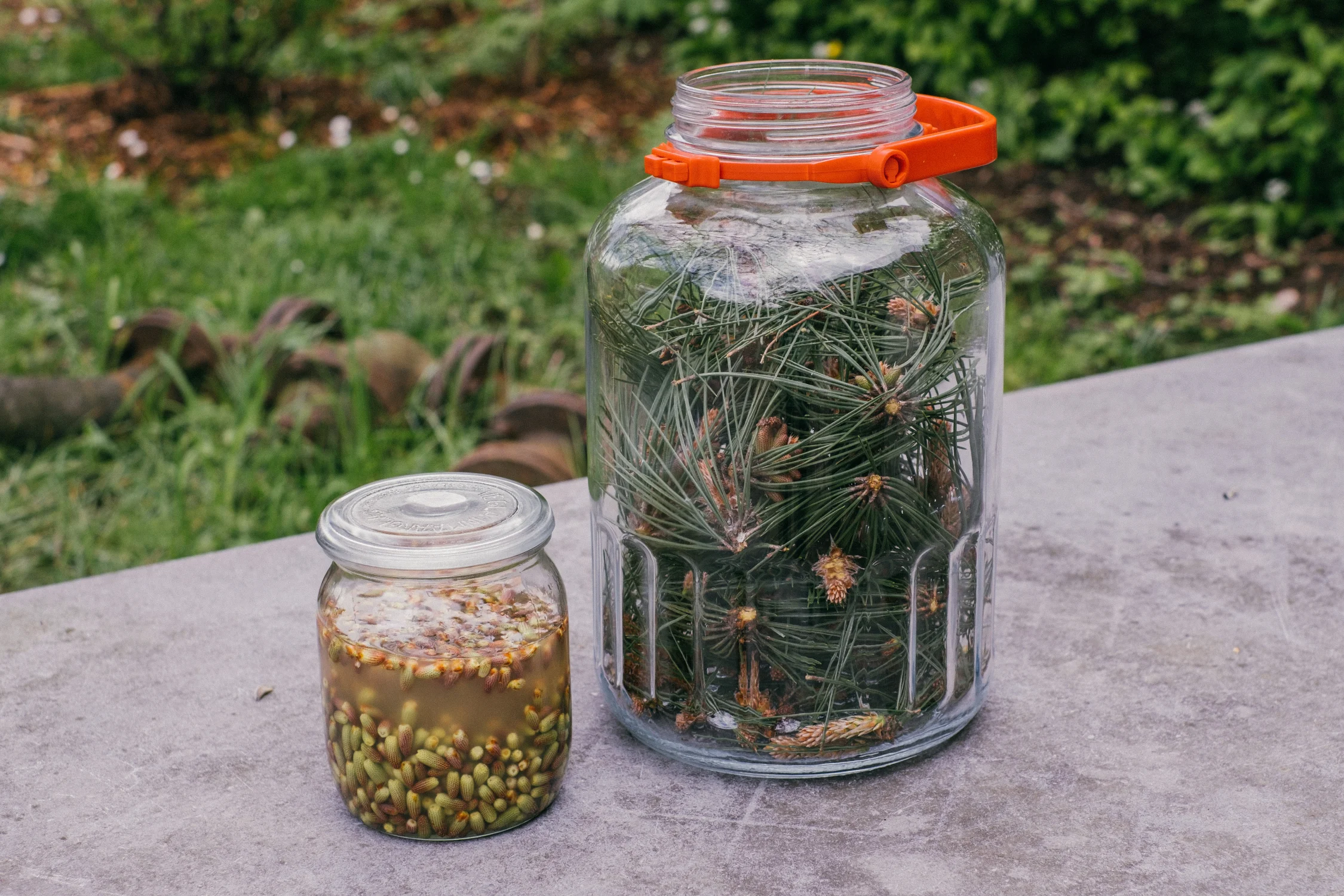 https://hetmoestuinhuis.nl/wp-content/uploads/2026/07/PicklesGroveDen-CvdB.webp