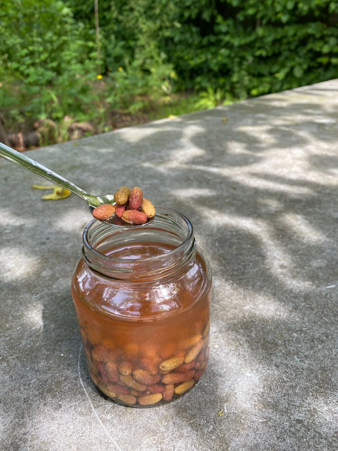 https://hetmoestuinhuis.nl/wp-content/uploads/2026/07/pickles-den.webp