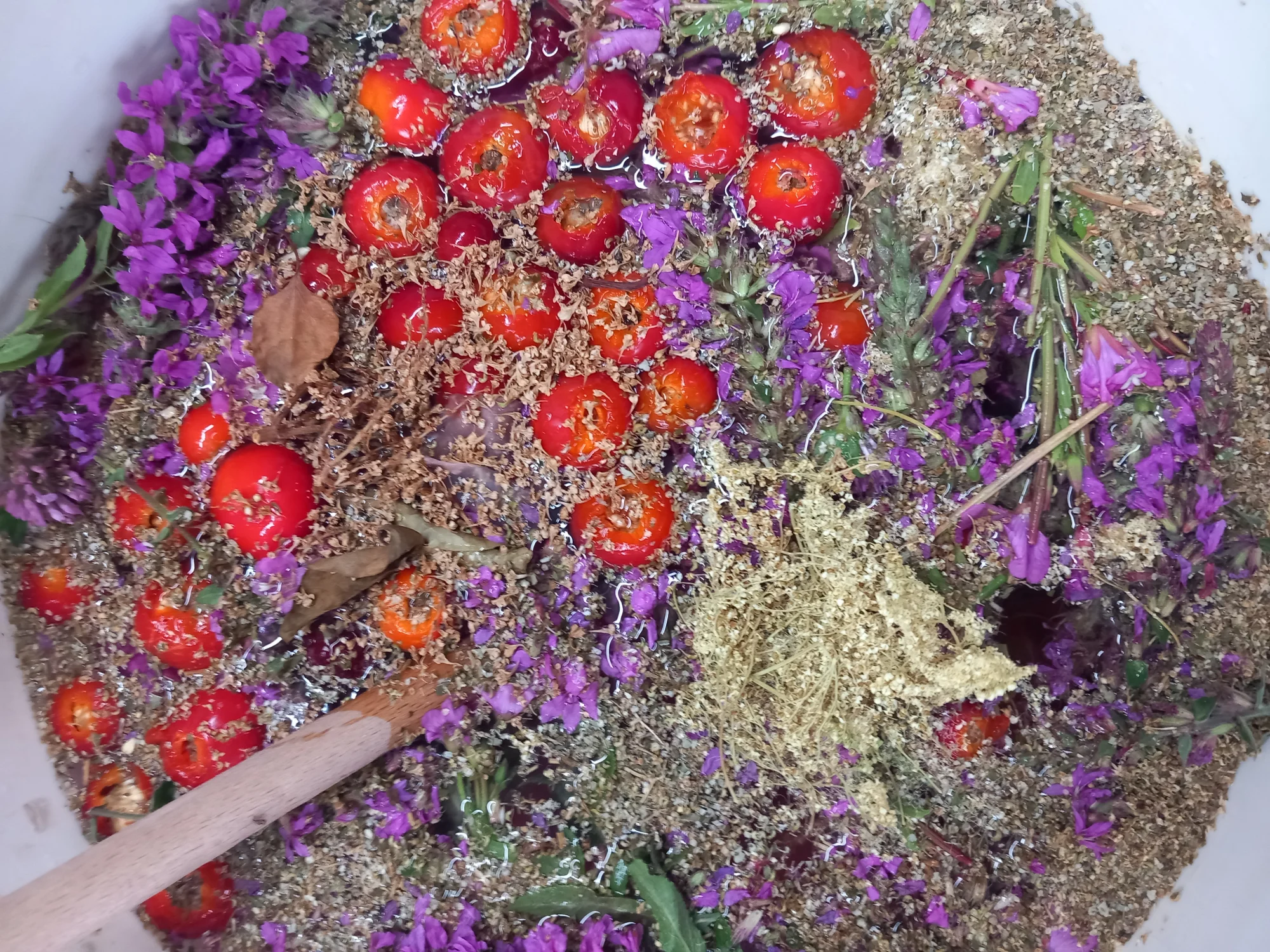 https://hetmoestuinhuis.nl/wp-content/uploads/2026/07/soda-opzet.webp