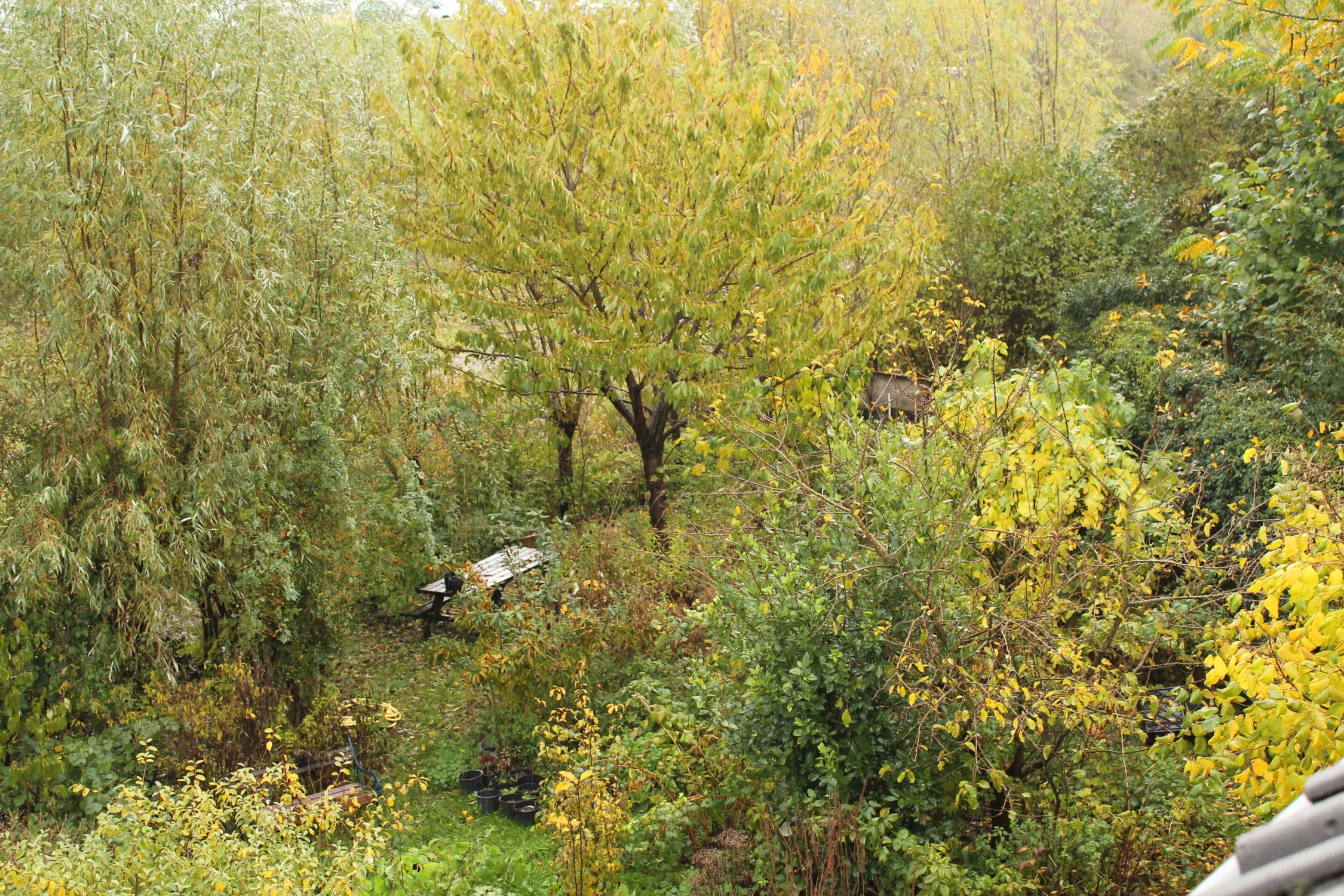 tuin1